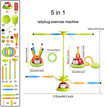 Ladybug Sport Entertainment Game Toy